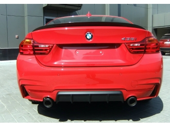 F32 M PERFORMANCE DİFİZÖR 